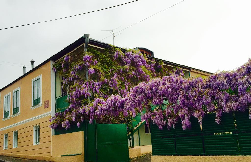 Guesthouse Natali Telavi Bagian luar foto