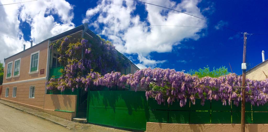 Guesthouse Natali Telavi Bagian luar foto